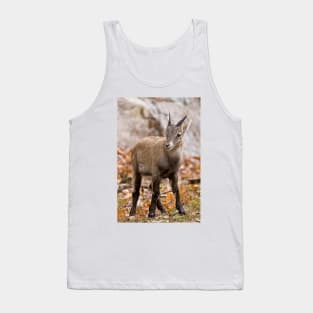 Baby Ibex Tank Top